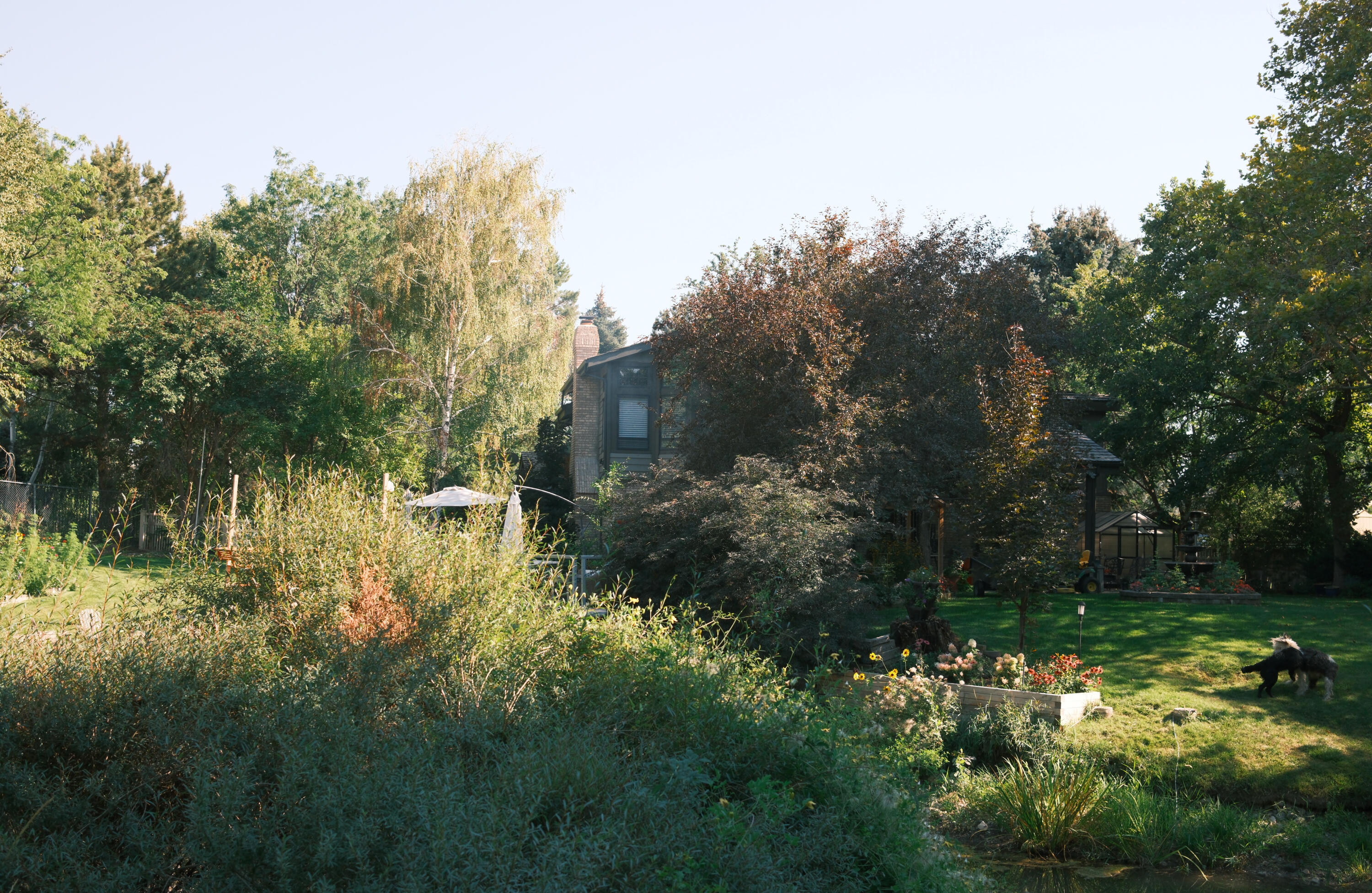 Lush cottage garden landscape A wild and abundant cottage garden in late summer, the inspiration behind Meadow Lane Tiles "In the Garden collection"